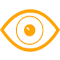 vision-icon